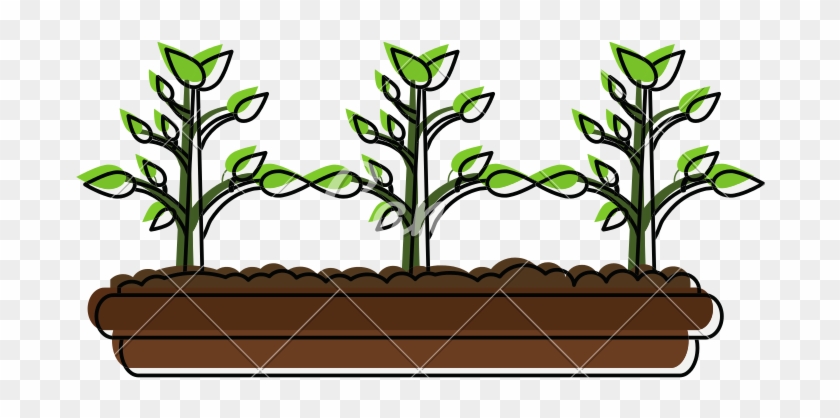 800 X 800 2 - Flowerpot Clipart #1088911