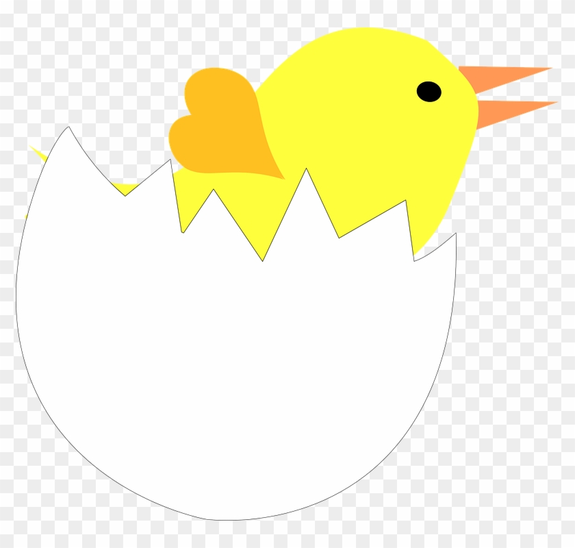 Cracked Egg Shell Clipart - Pintinho Na Casca Do Ovo - Png Download