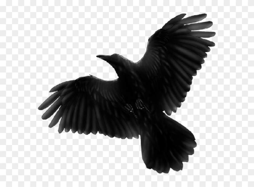 Black Bird Flying Png , Png Download - Black Bird Flying Transparent Clipart #1089118