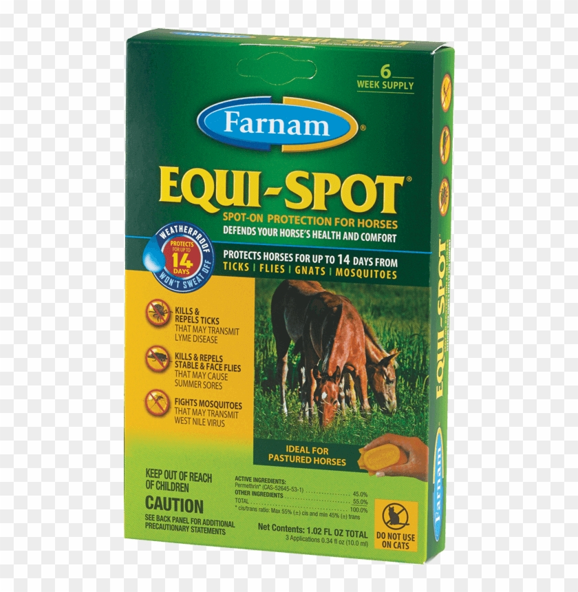 6-week - Equispot Clipart