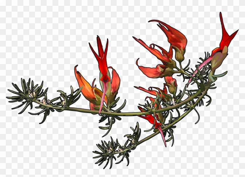 Pico De Paloma - Lobelia Clipart