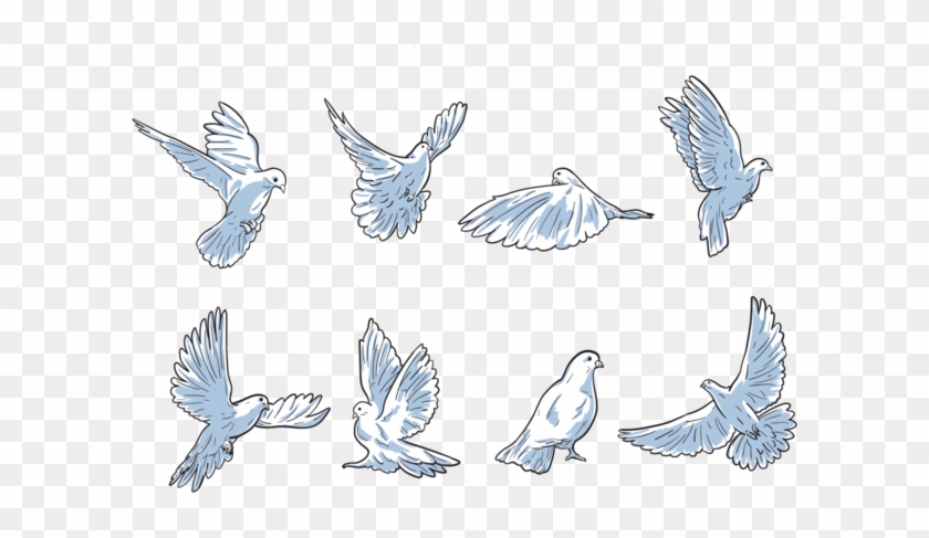 Free Hand Drawn Paloma Vectors - Palomita Con Olivo Volando Dibujo Animado Para Pintar Clipart