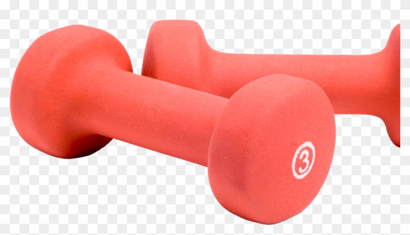 Their Challenge - Dumbbell Clipart #1091538