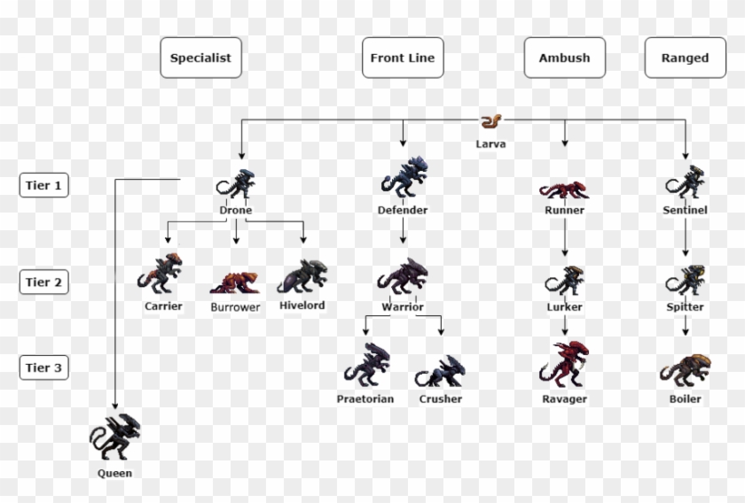 Evolution - Cartoon Clipart