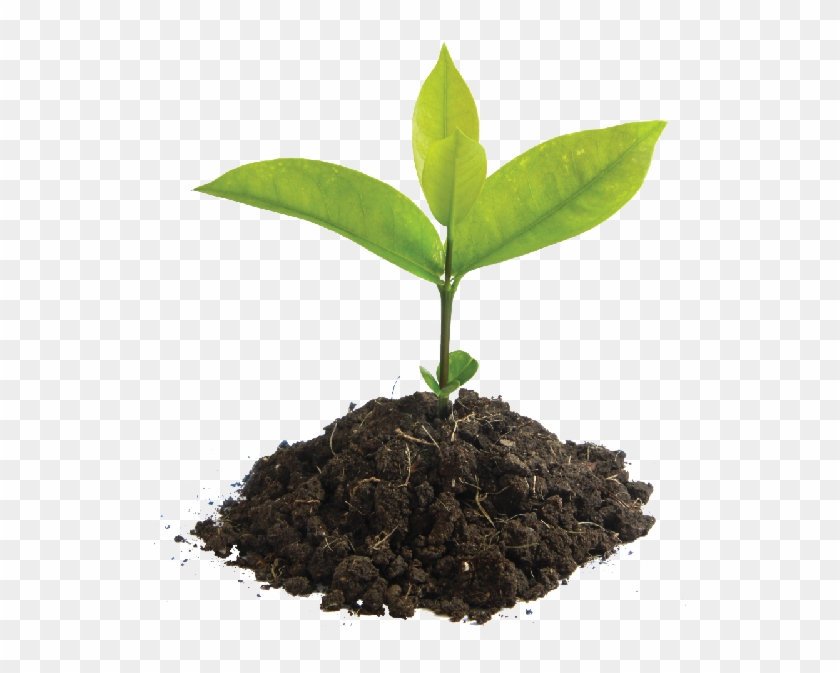 Find Out More - Iniciacion A La Actividad Emprendedora Y Empresarial Clipart #1095556