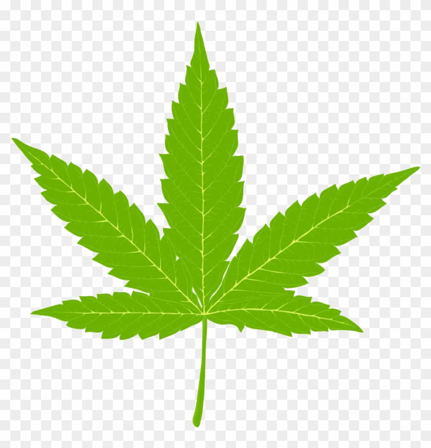 Cannabis Clip Art Indian Leaves Illustrations Ⓒ - Cannabis Leaf - Png Download