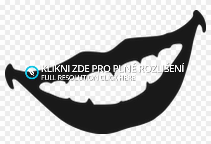 1 Pluspng - Com - Pusa Png Clipart #1097974
