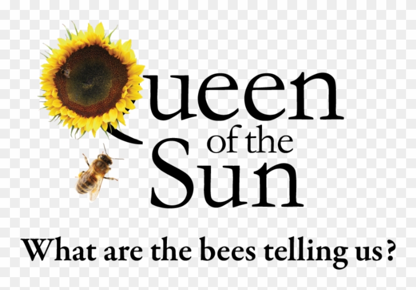 Don't Miss This Movie Event - Sunflower Clipart #1098164