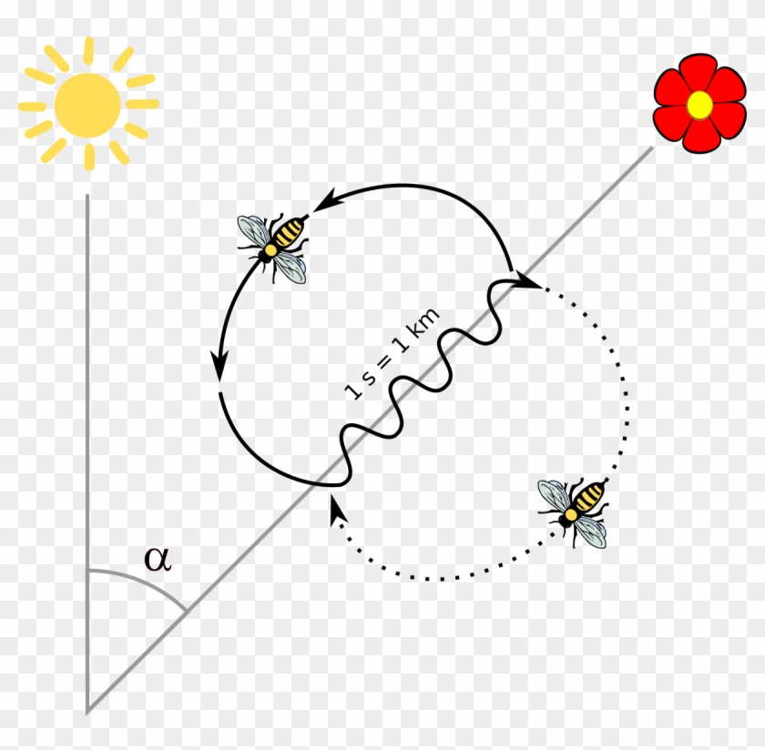 Waggle Dance - Bee Dance Clipart #1098260