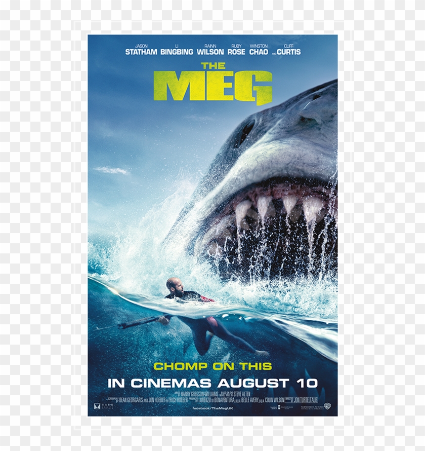 Wtf Meg 6sht Clipart