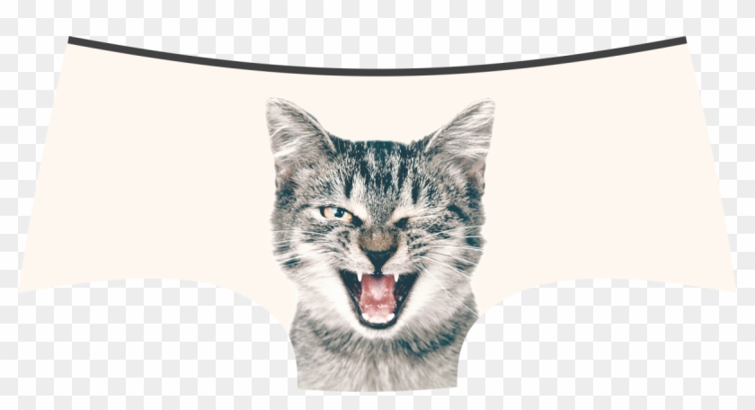 Lickstarter Pussycat Panties / Panty Store - Cat Yawns Clipart #111972