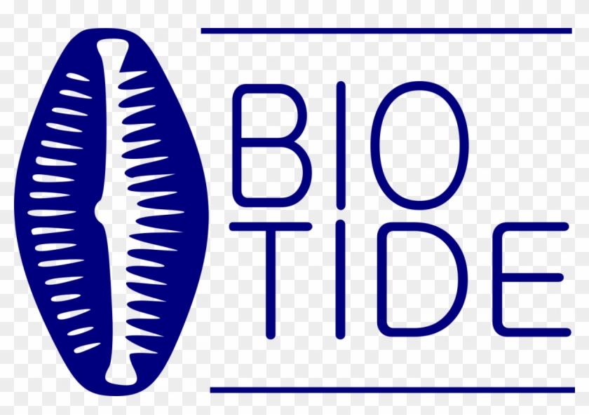 This Information Will Be Crucial For Evaluating To Clipart