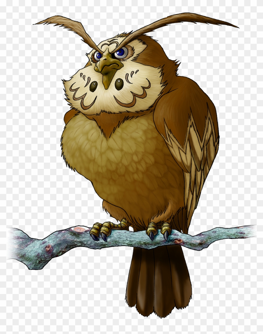 1900 X 2327 8 - Kaepora Gaebora Clipart