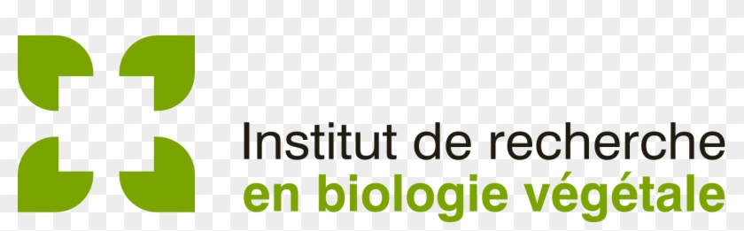 To Download In Png Format, Right-click Here Then Save - Institut De Recherche En Biologie Végétale Clipart