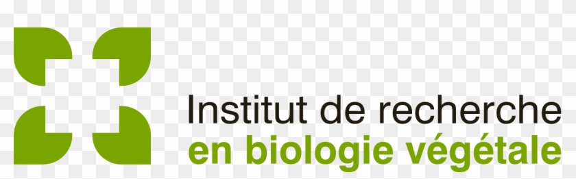 To Download In Png Format, Right-click Here Then Save - Institut De Recherche En Biologie Végétale Clipart #114397