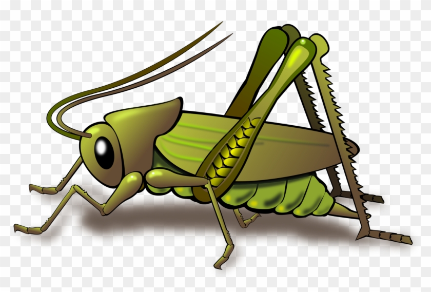 Vector Free Download Cricket Png Images Toppng Transparent - Cricket Insect Clipart #114787