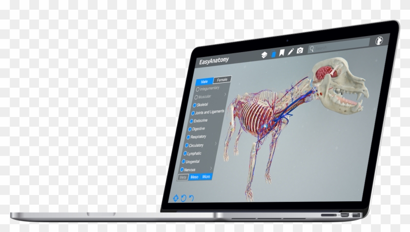 Ea On Macbook Pro - Smartphone Clipart #114809