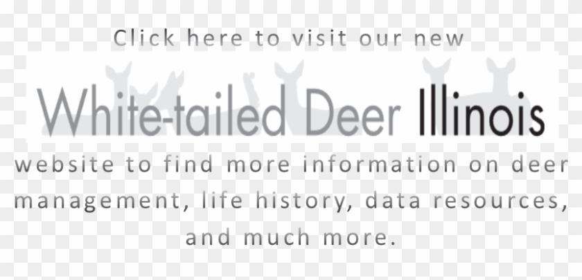 White-tailed Deer Illinois Image4 - Black-and-white Clipart #115339
