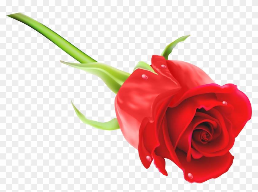 Rose Image Png Hd Clipart #116814