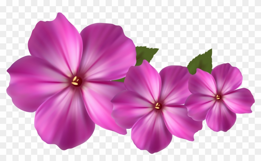 Flower Clipart Png Transparent Png #117020