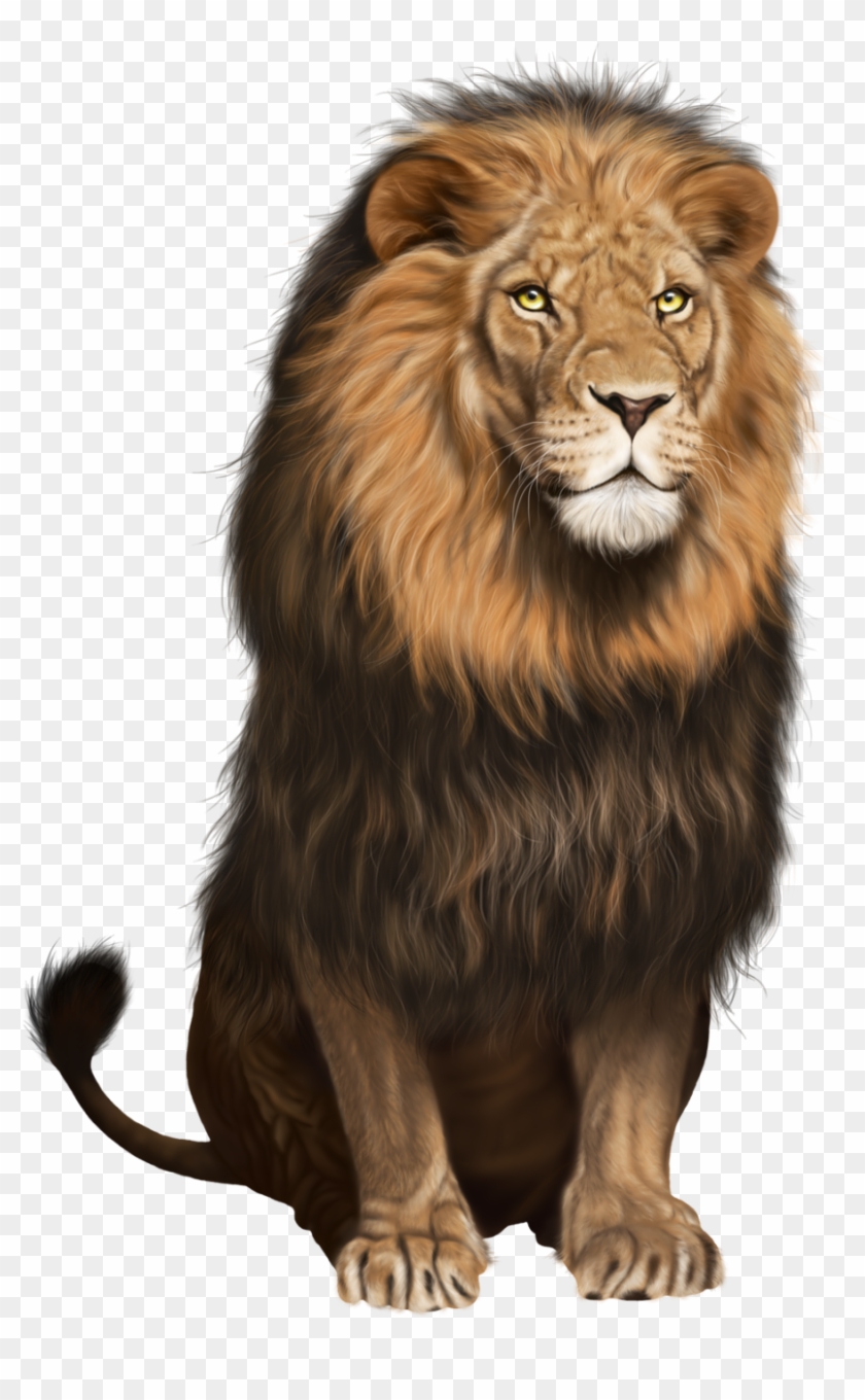 Lion Png Image Background - Lion Transparent Png Clipart #117728
