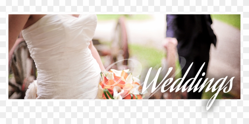 Wedding Portfolio Wedding Portfolio - Bouquet Clipart