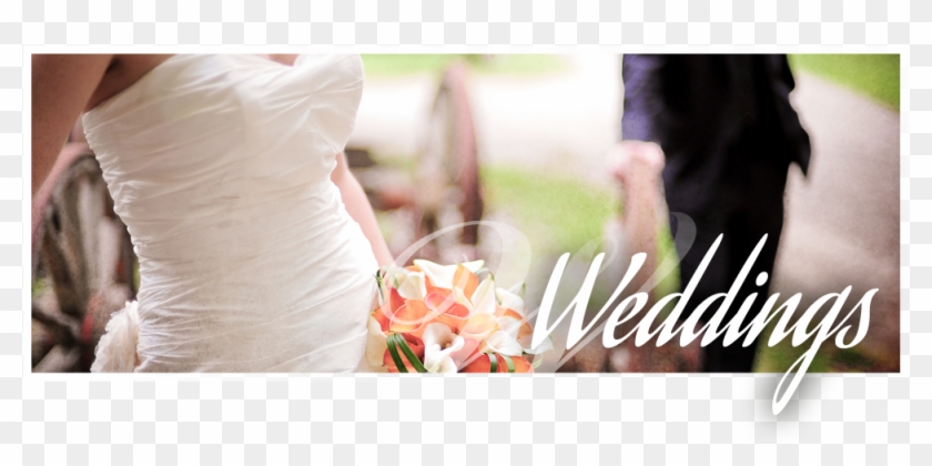 Wedding Portfolio Wedding Portfolio - Bouquet Clipart #118565