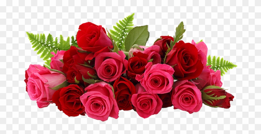 Rose Png - Rose Flowers Clipart #119138