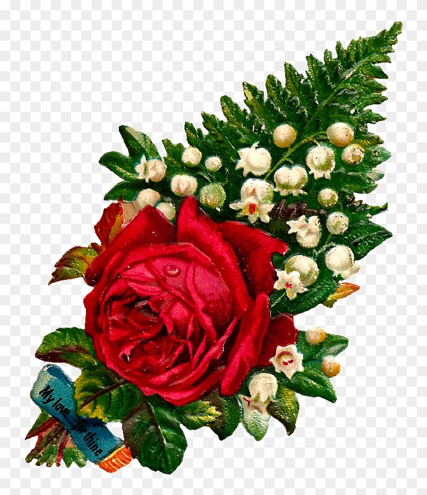 What A Beautiful Digital Red Rose Graphic I Love This - Single Red Rose Flower Love Png Clipart