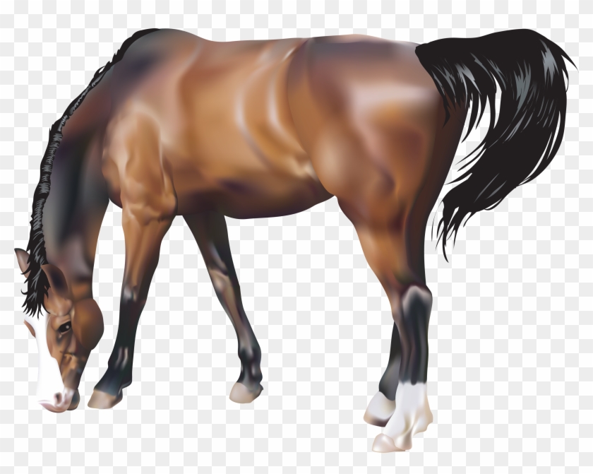 Png Wallpaper Hd Download - Animals Png Free Download Clipart