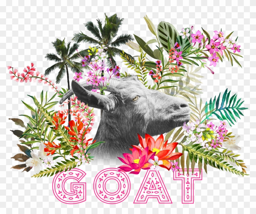 Goat Festival @ Goa - Zebu Clipart