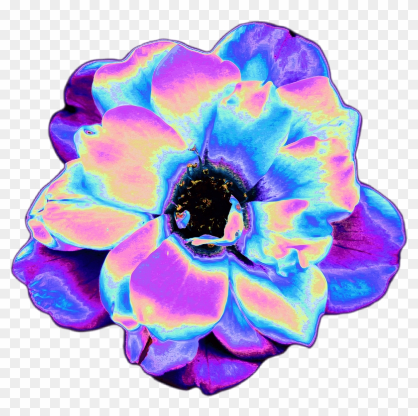 Holo Holographic Tumblr Vaporwave Aesthetic Flower - Aesthetic Tumblr Png Clipart