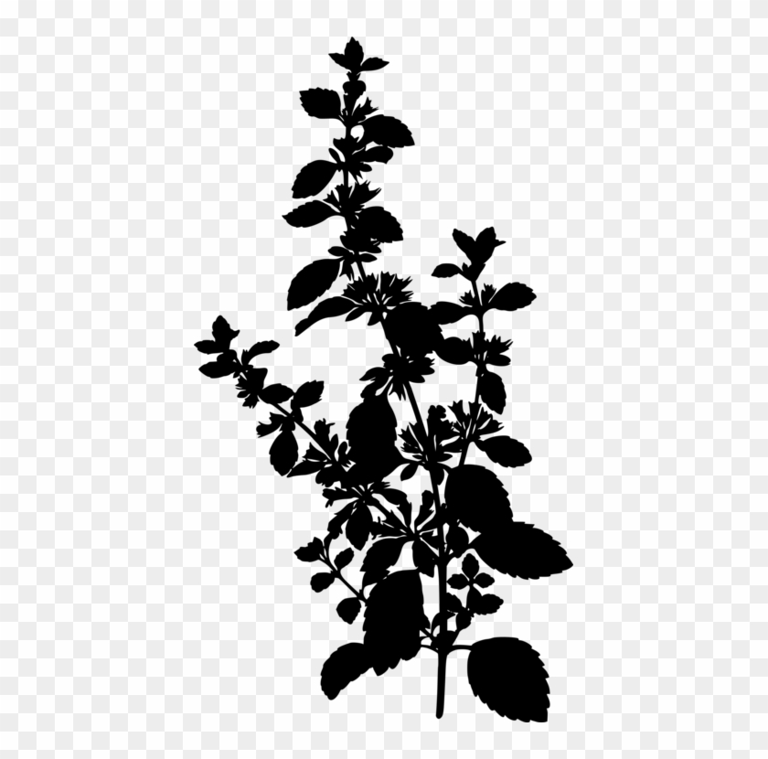 415 X 750 2 - Lemon Balm Flower Clipart #1102562