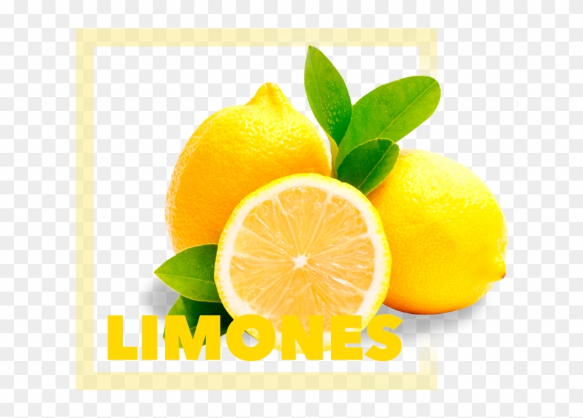 Lemon Tree Png Clipart #1102873