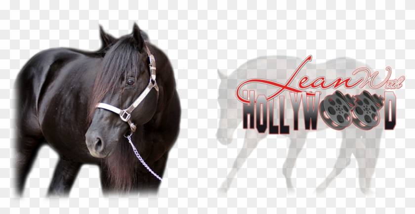 Header-hollywood - Mane Clipart #1104050