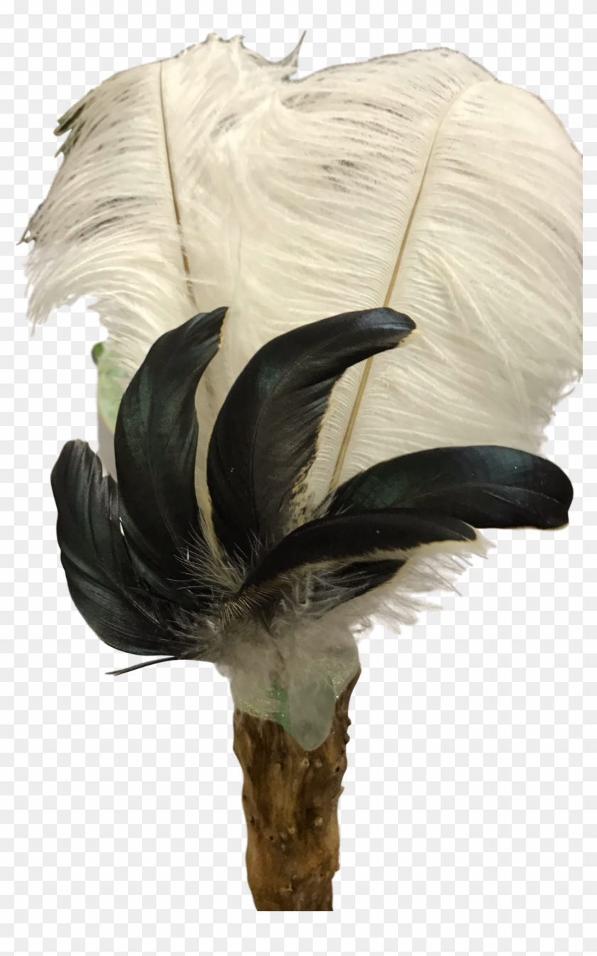 Make A Wand From Materials Chosen To Help You Manifest - Feather Clipart