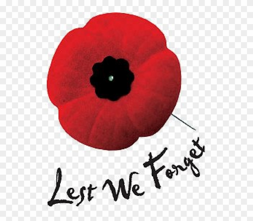 Remembrance Poppy - Remembrance Day Poppy Png Clipart #1106117
