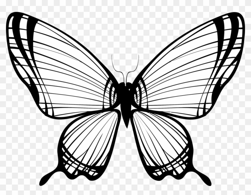 Image Freeuse Download Art Silhouette Free Commercial - Butterfly Sihluette Clipart #1106292