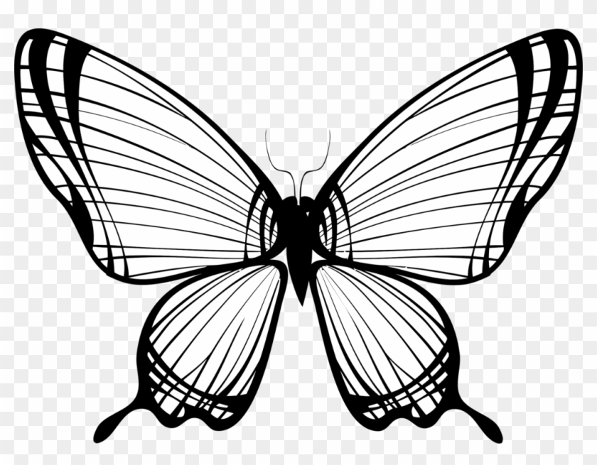 Image Freeuse Download Art Silhouette Free Commercial - Butterfly Sihluette Clipart