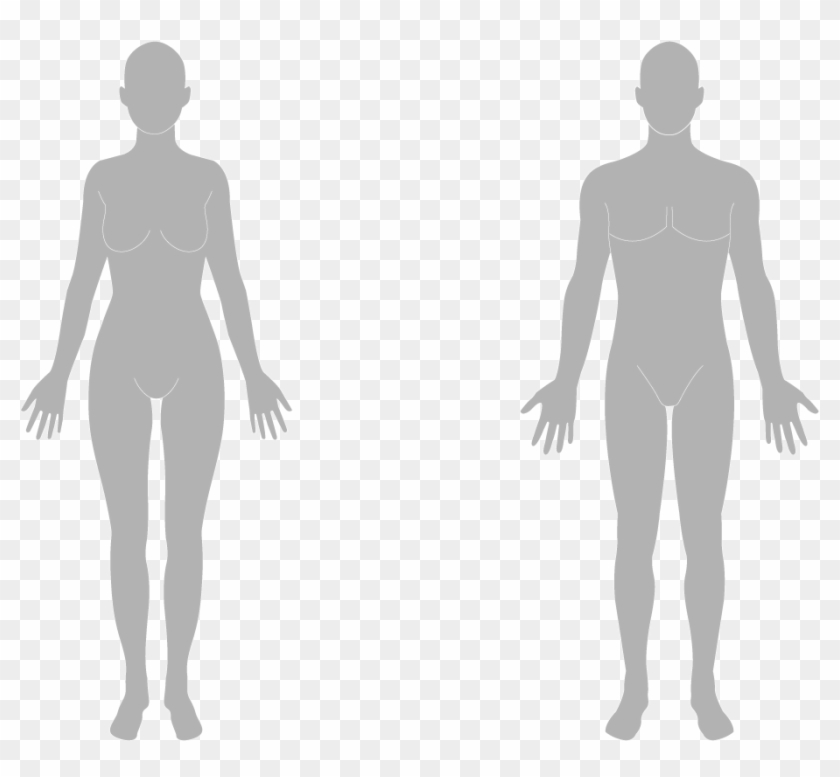 Human Body Png - Human Body Silhouette Png Clipart