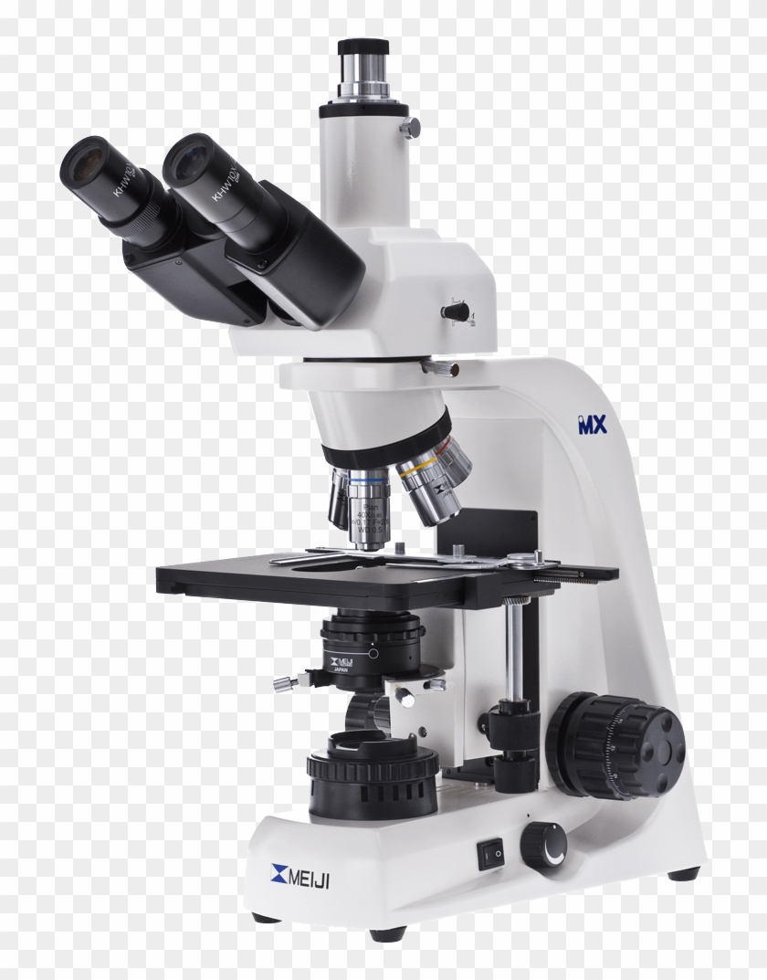 Large Binocular Microscope - Biological Microscope Clipart #1107198