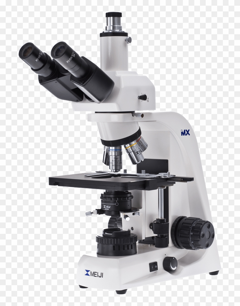 Large Binocular Microscope - Biological Microscope Clipart