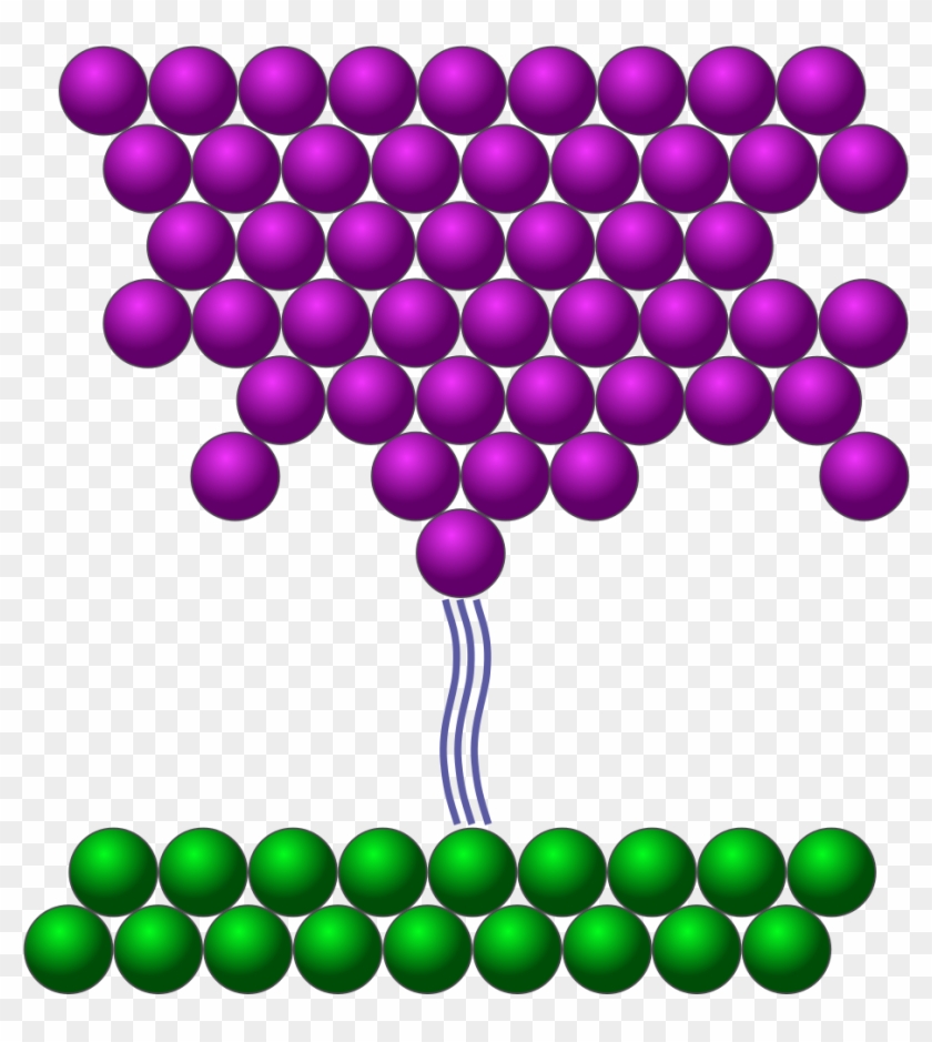 Scanning Tunneling Microscope Clipart