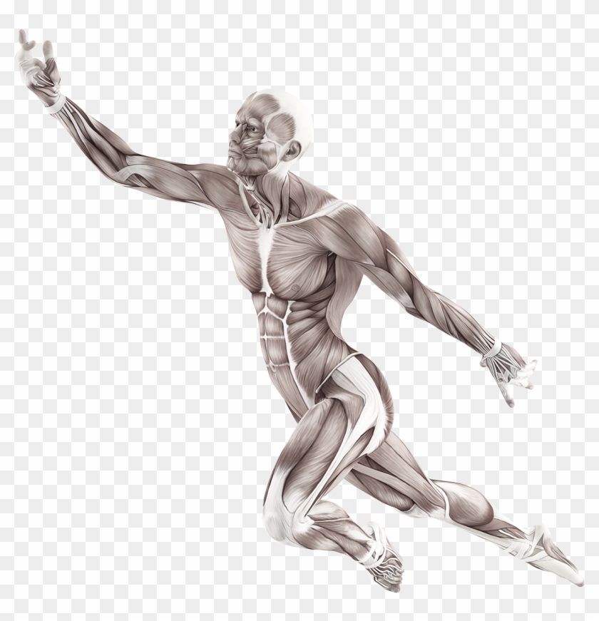 Mat® Masters Courses - Body In Motion Png Clipart