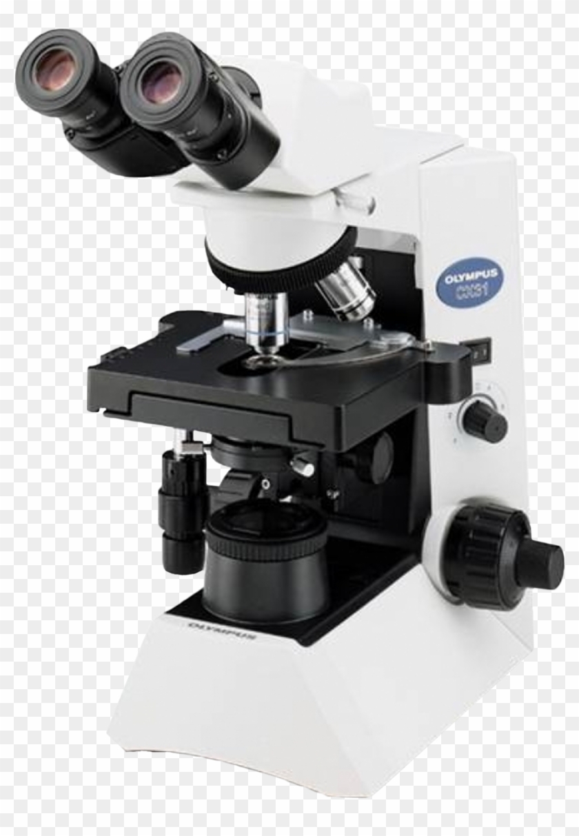 Olympus Cx31 Upright Biological Microscope - Microscope Olympus Cx 23 Clipart #1107765