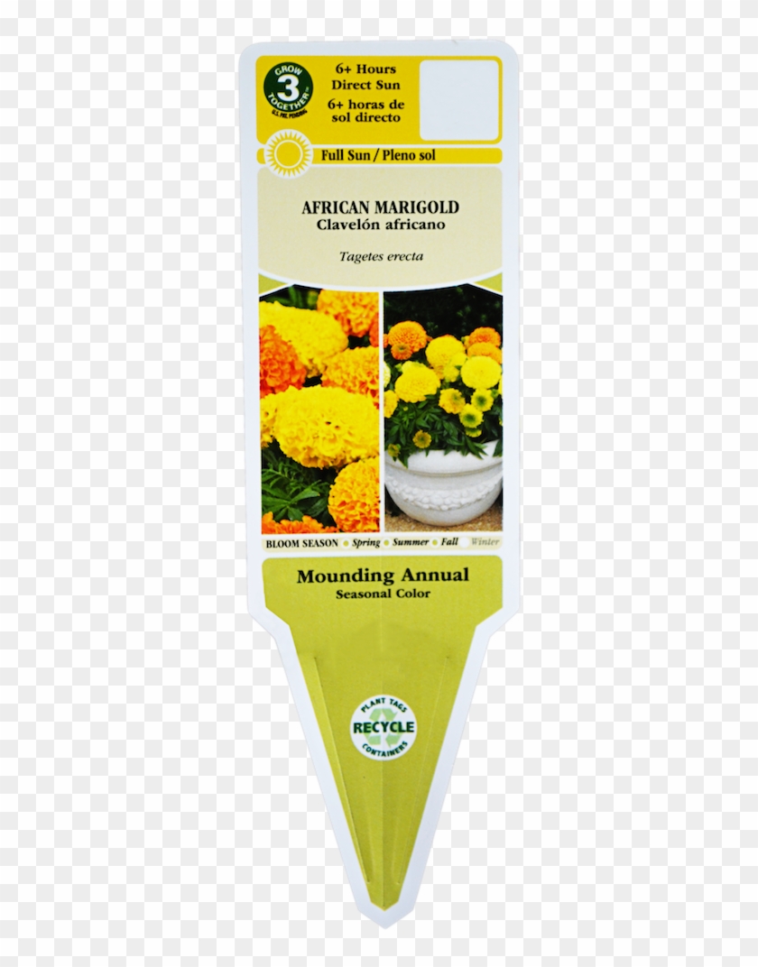 Understanding How To Decipher A Plant Tag Is The First - Marigold Taishan Mix Clipart #1107824