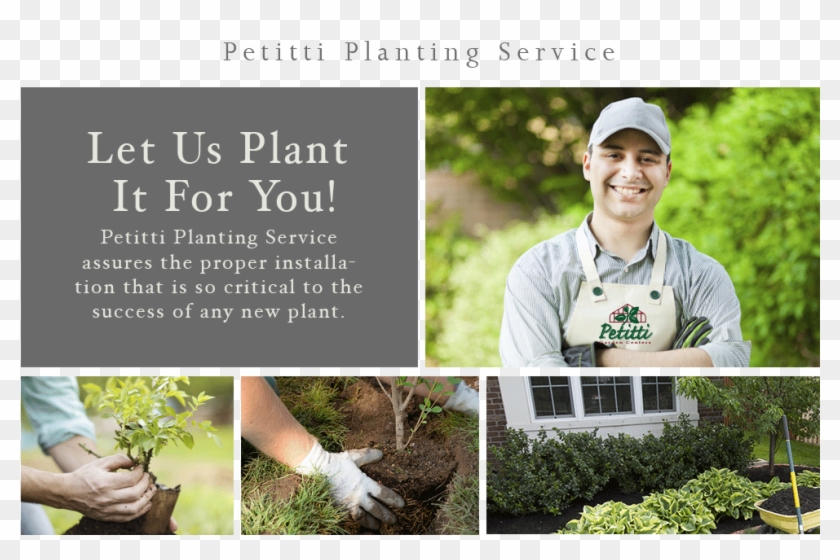 Menu - Gardening - Photograph Clipart #1108850