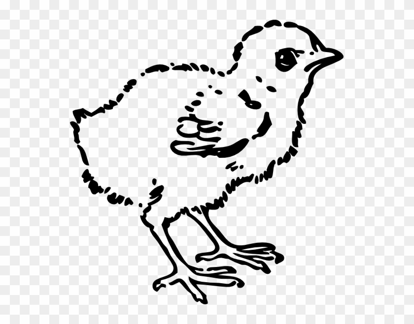 Baby Chick Tattoo - Chick Clip Art Black And White - Png Download #1109310