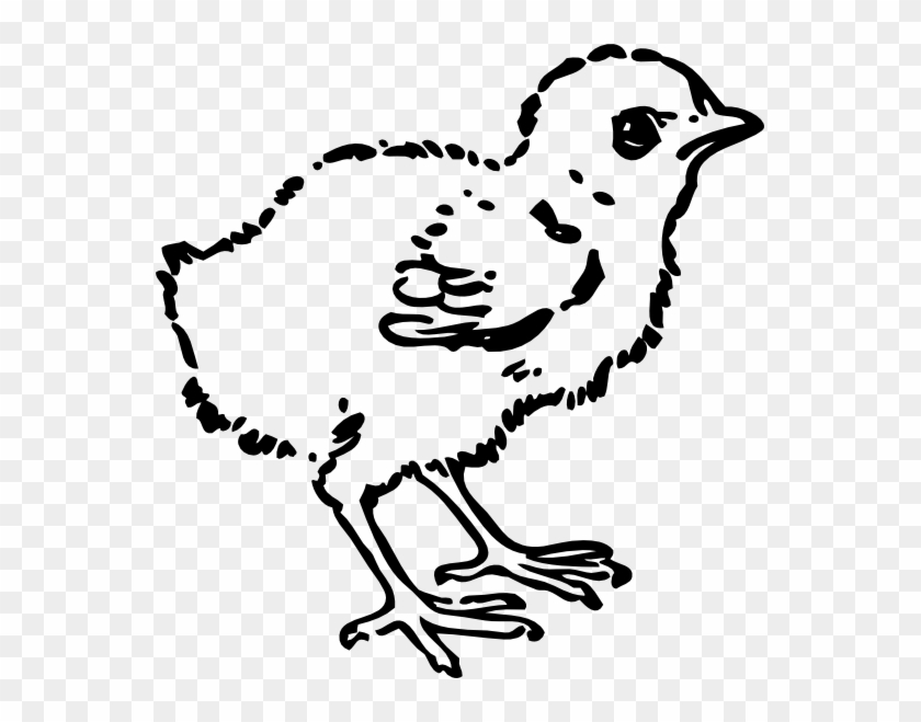 Baby Chick Tattoo - Chick Clip Art Black And White - Png Download