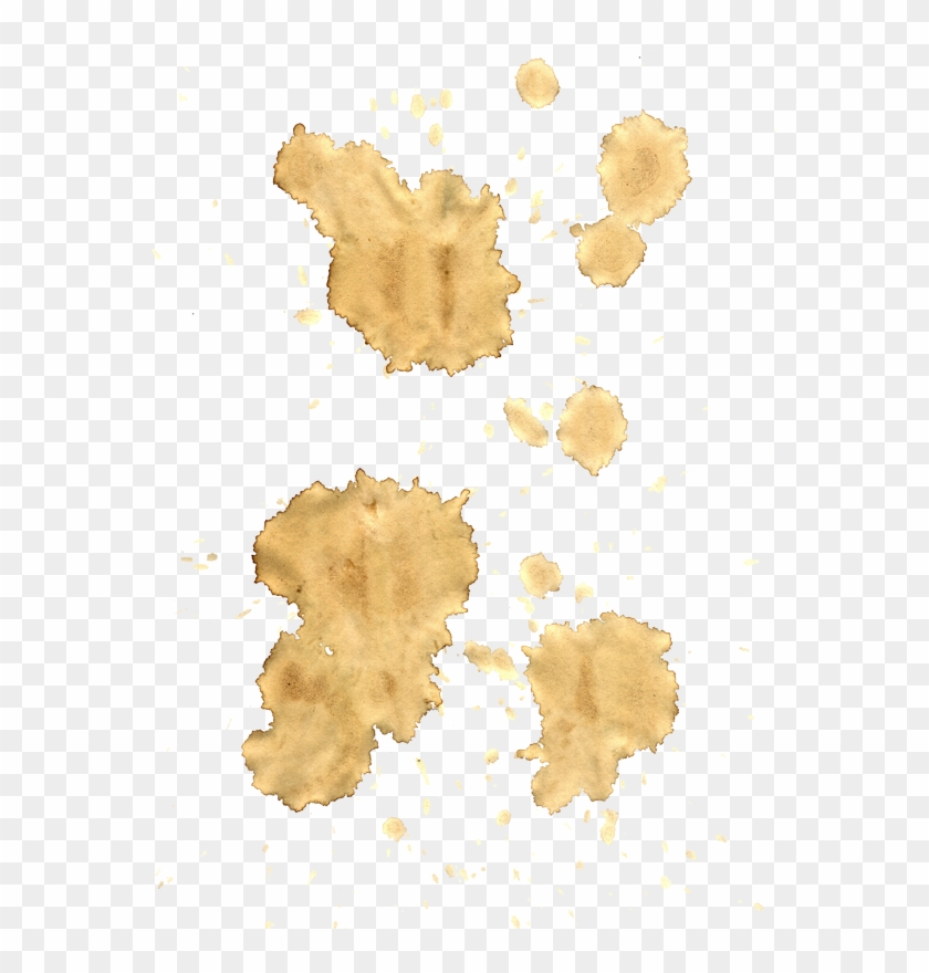 Cofee Stains Png - Stains Png Clipart #1109511